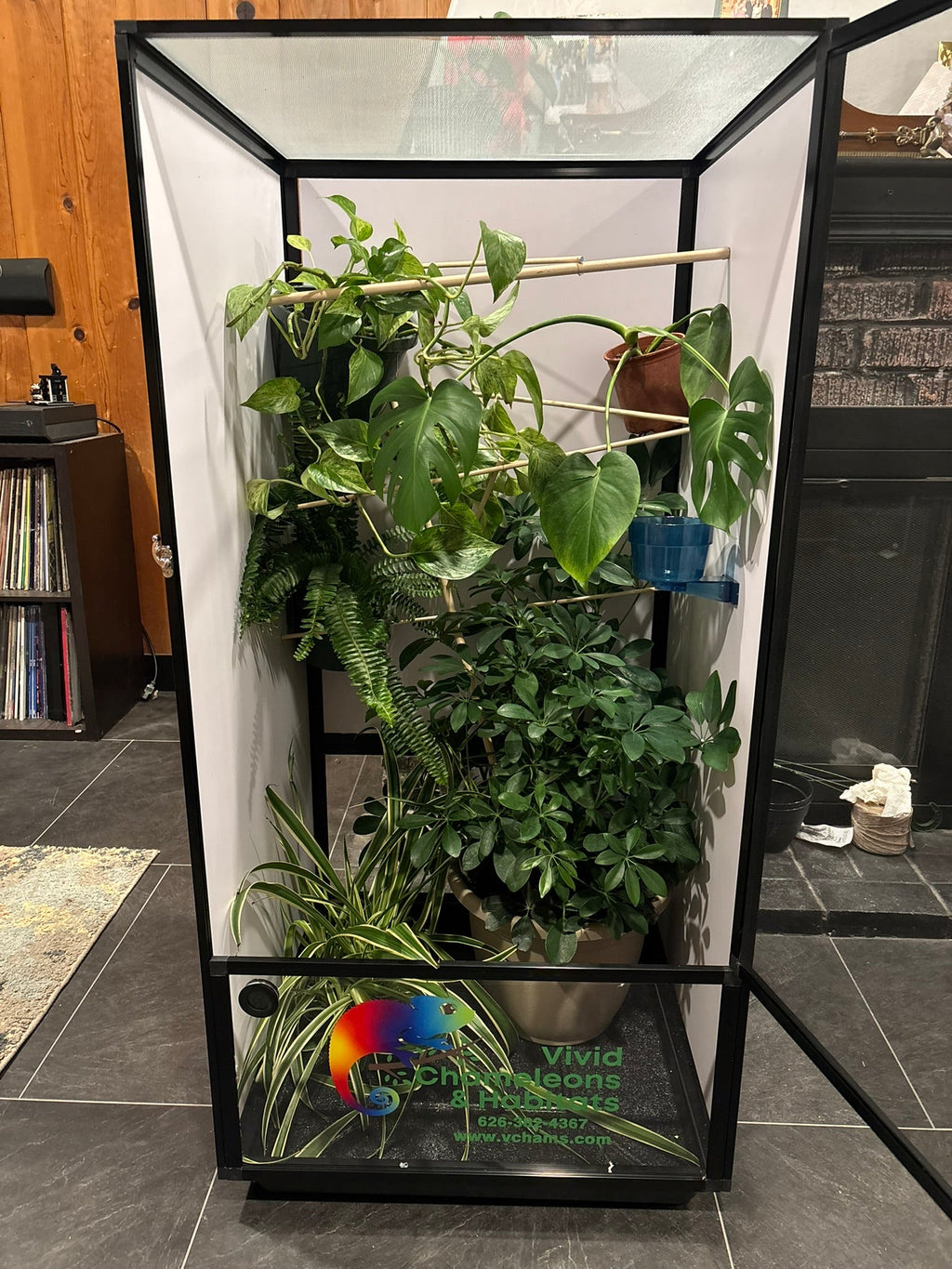 Size 18: 18"x18"x36" Deluxe All-In-One Automated Chameleon Kit