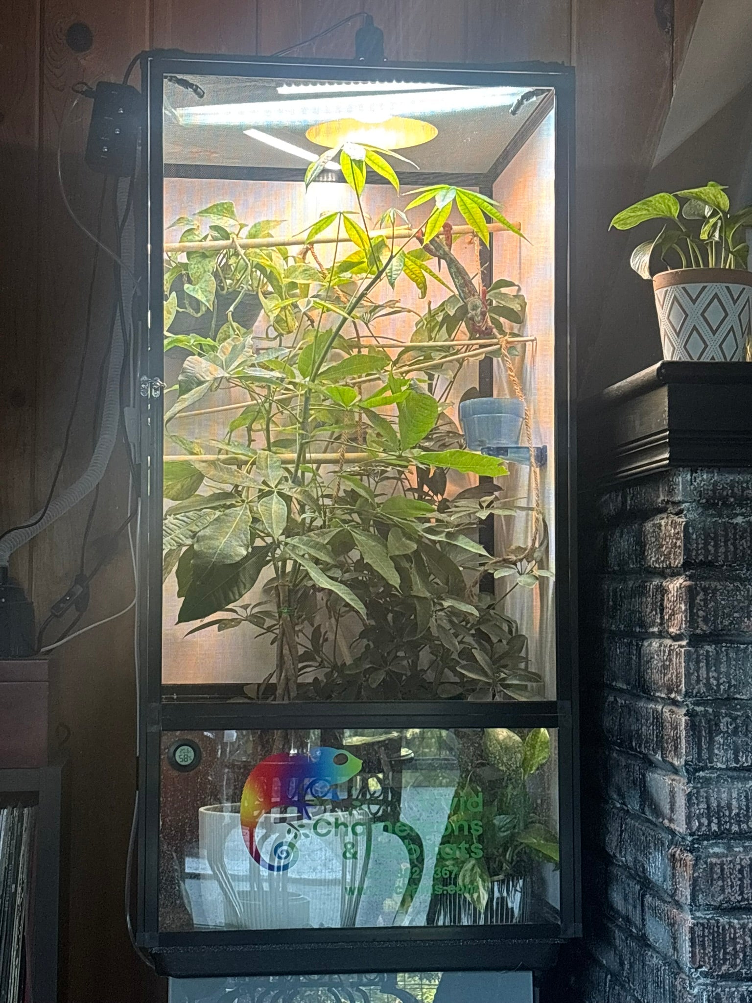 Size 18: 18"x18"x36" Deluxe All-In-One Automated Chameleon Kit