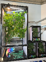 Size 18: 18"x18"x36" Deluxe All-In-One Automated Chameleon Kit