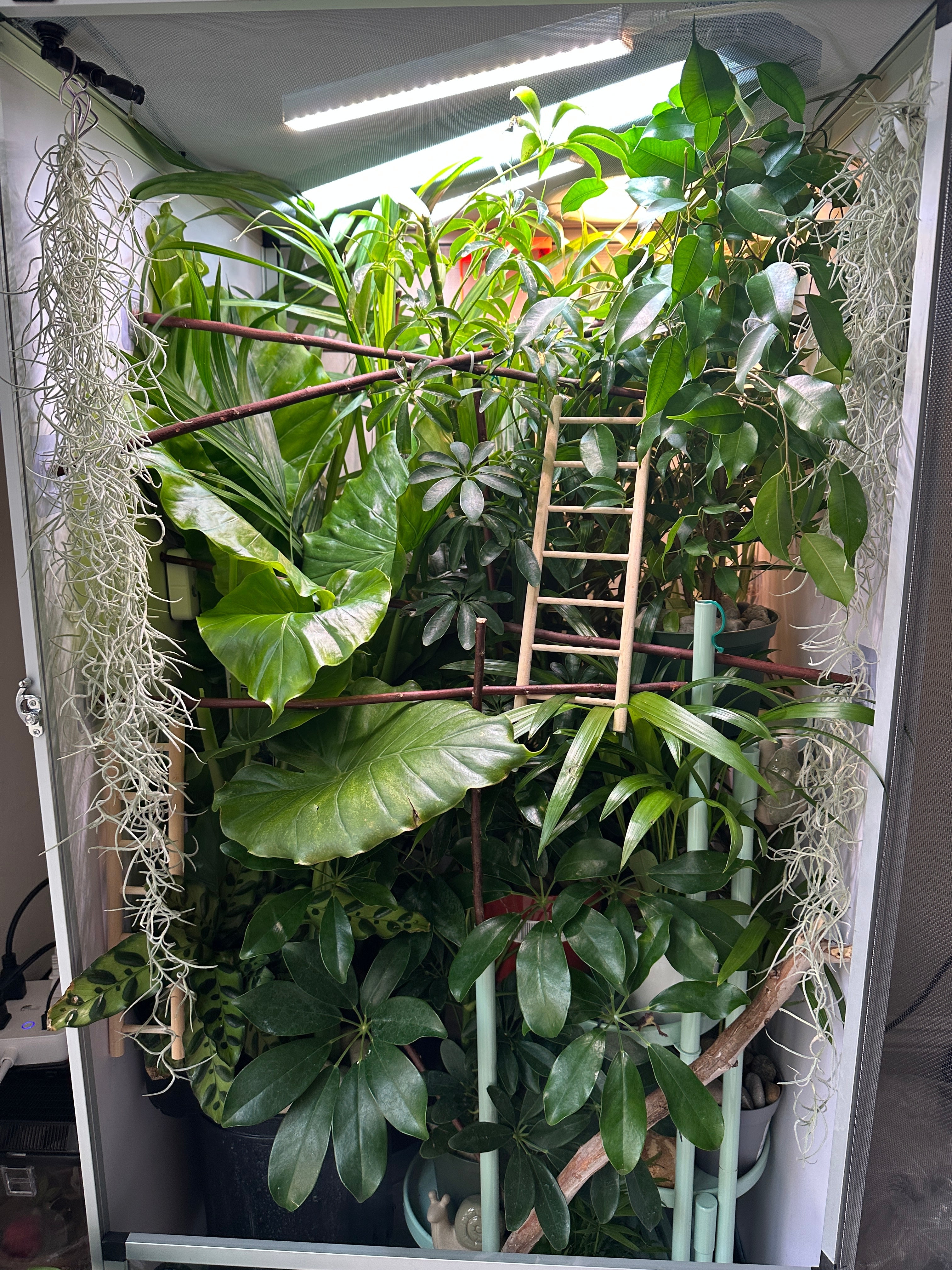 Size 16: 16"x16"x24" Deluxe All-In-One Automated Chameleon Kit