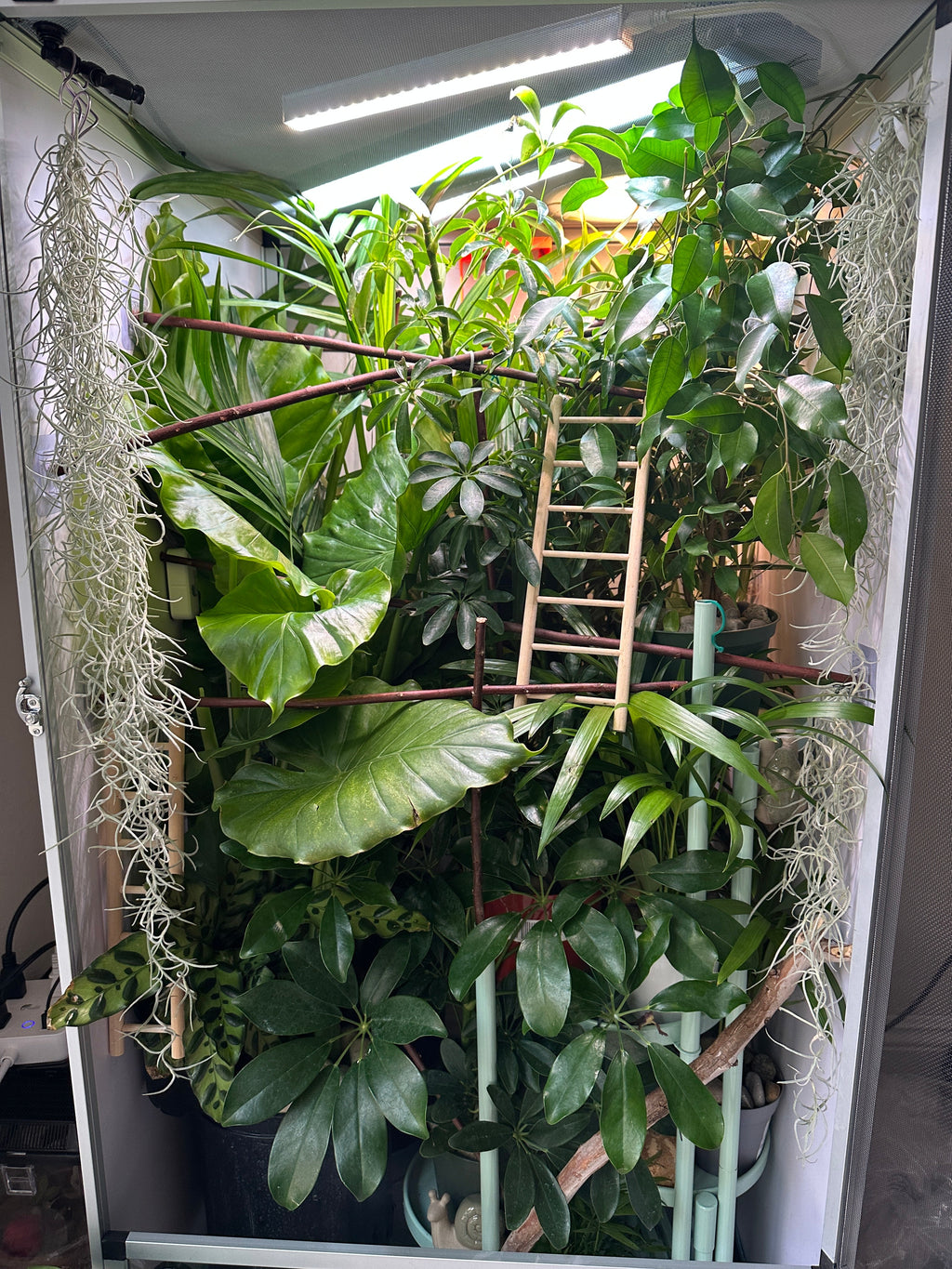 Size 18: 18"x18"x36" Deluxe All-In-One Automated Chameleon Kit