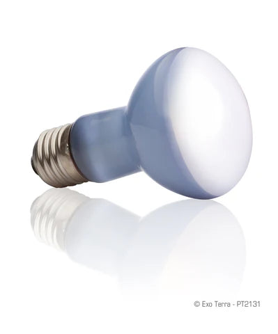 Exo Terra Daylight Basking Spot