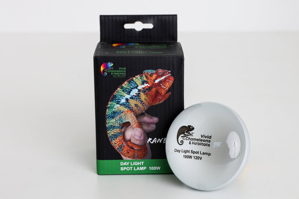 Size 16: 16"x16"x24" All-In-One Essential Chameleon Kit