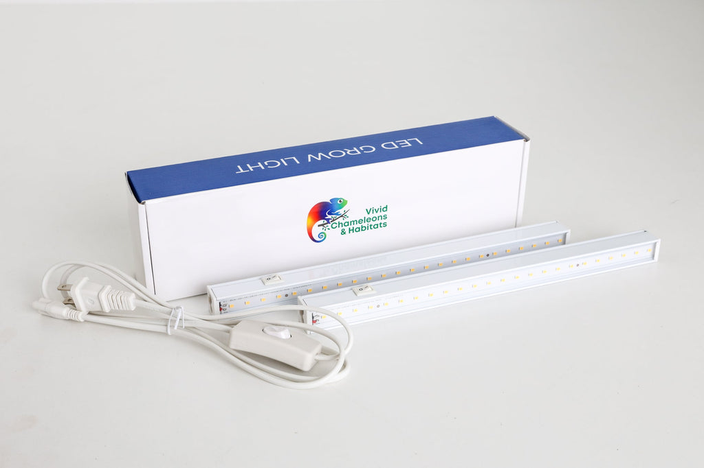 Size 16: 16"x16"x24" All-In-One Essential Chameleon Kit