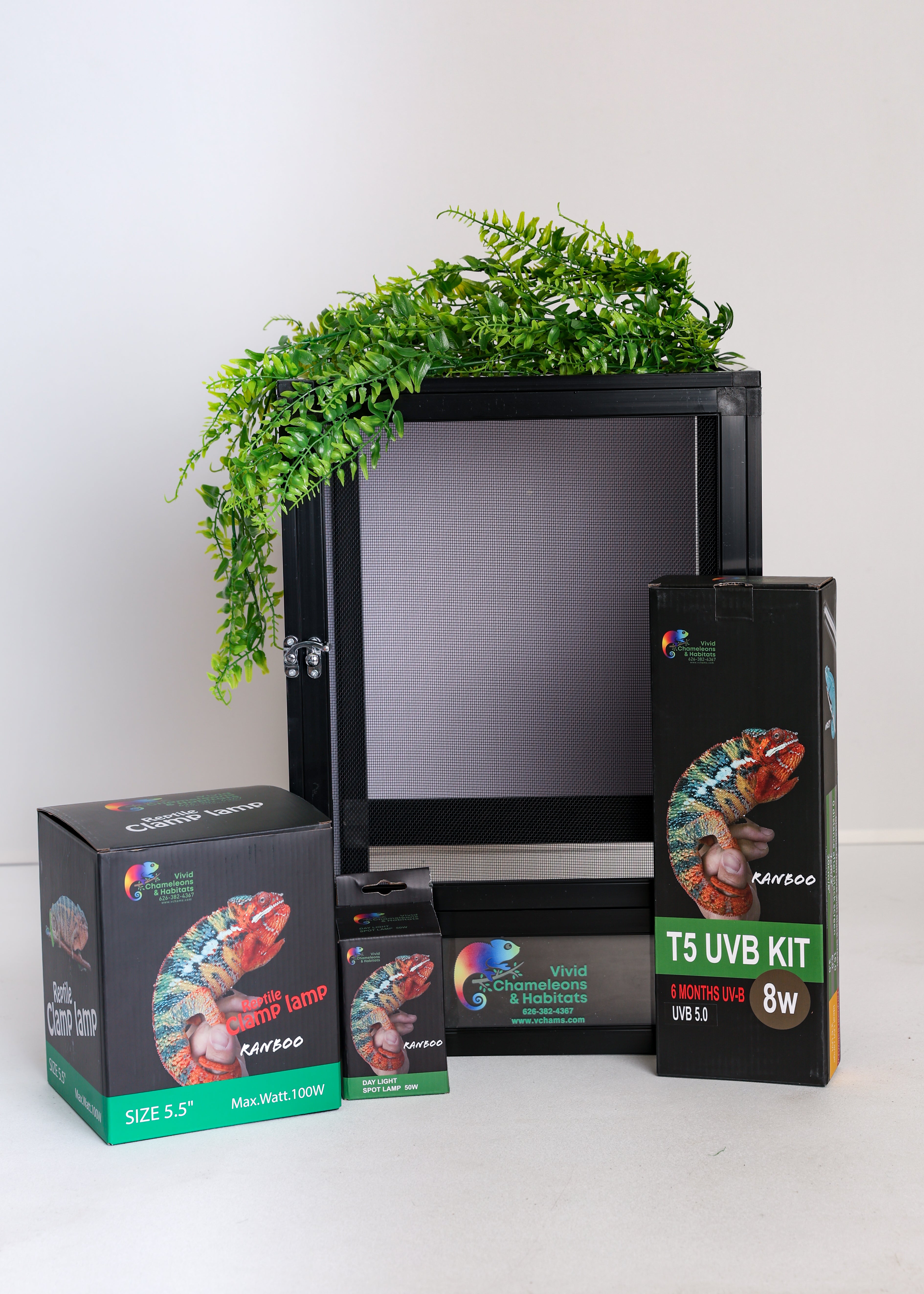 Size 12: 12"x12"x18" All-In-One Essential Baby Chameleon Kit