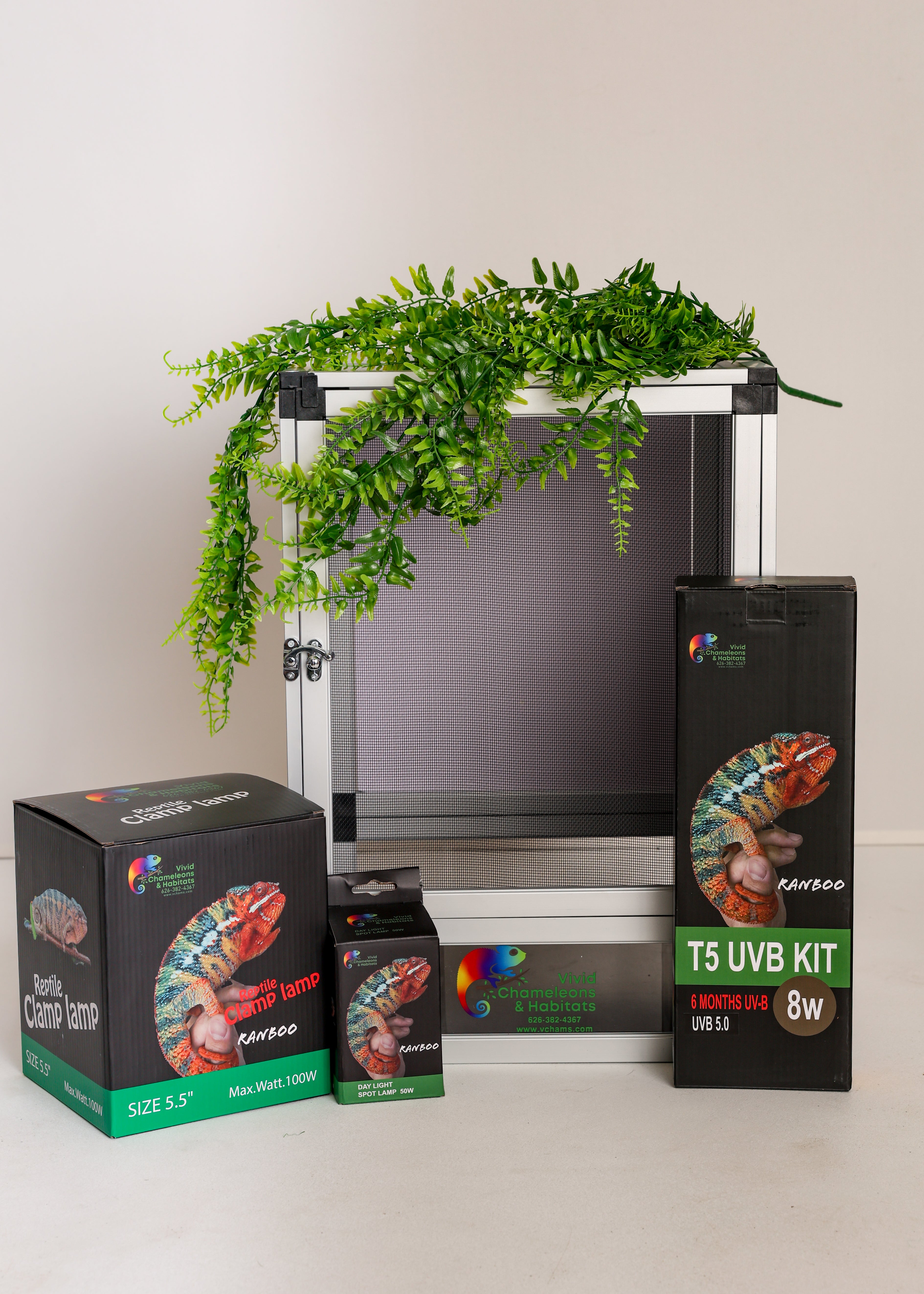 Size 12: 12"x12"x18" All-In-One Essential Baby Chameleon Kit