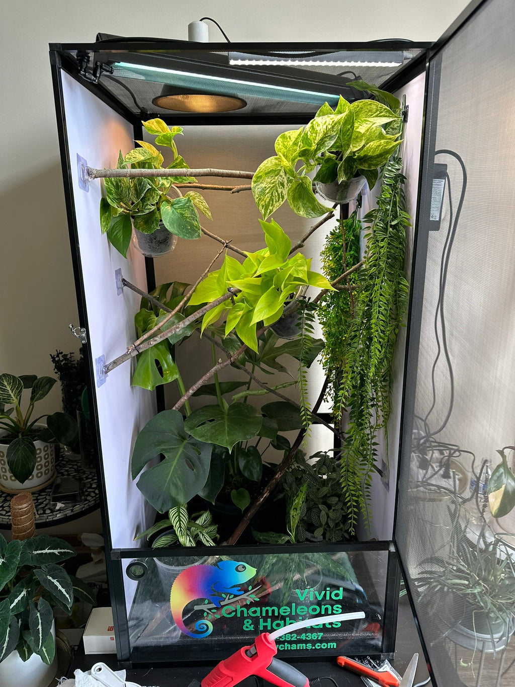 Size 18: 18"x18"x36" Deluxe All-In-One Automated Chameleon Kit