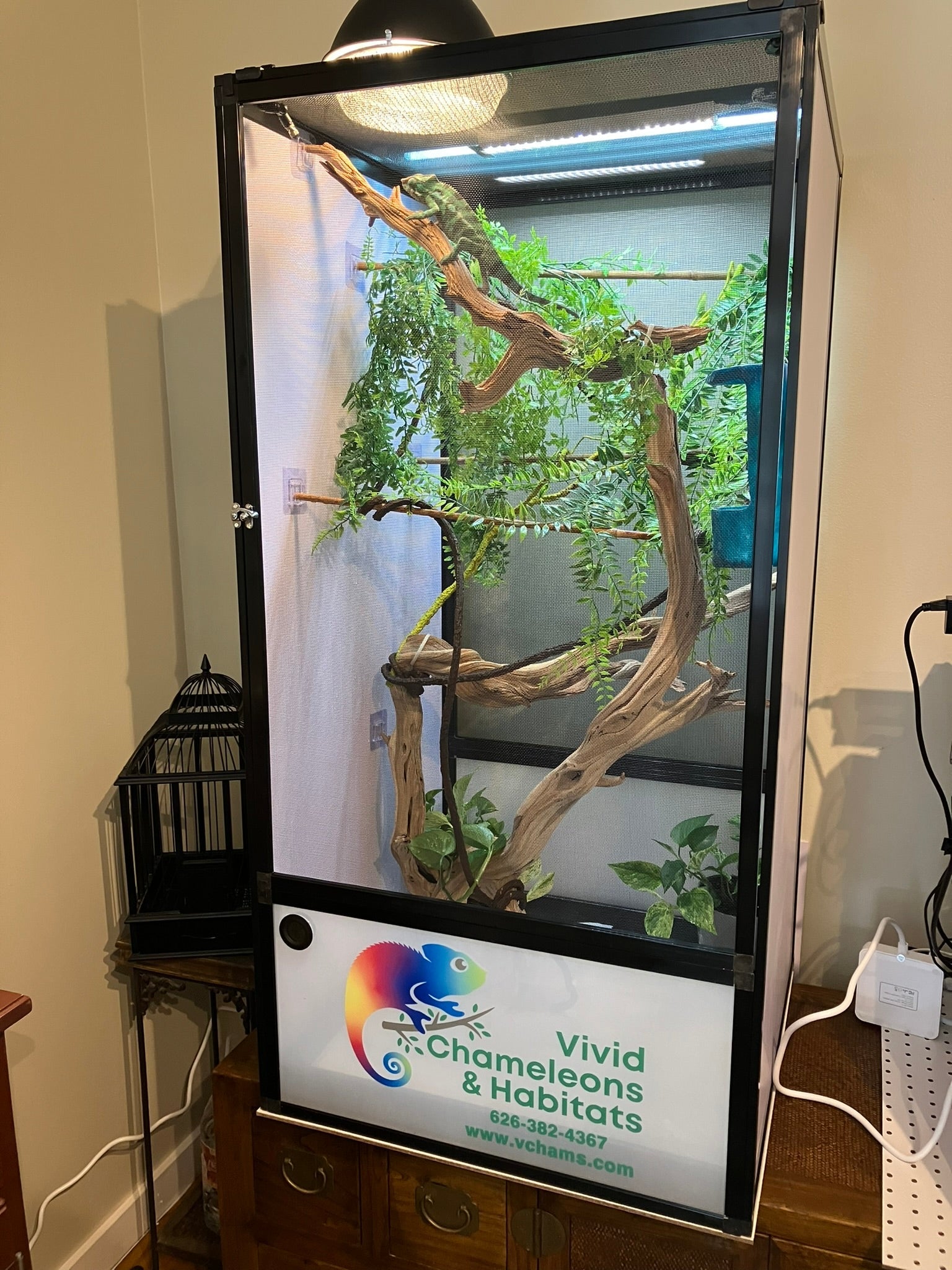 Size 16: 16"x16"x24" Deluxe All-In-One Automated Chameleon Kit