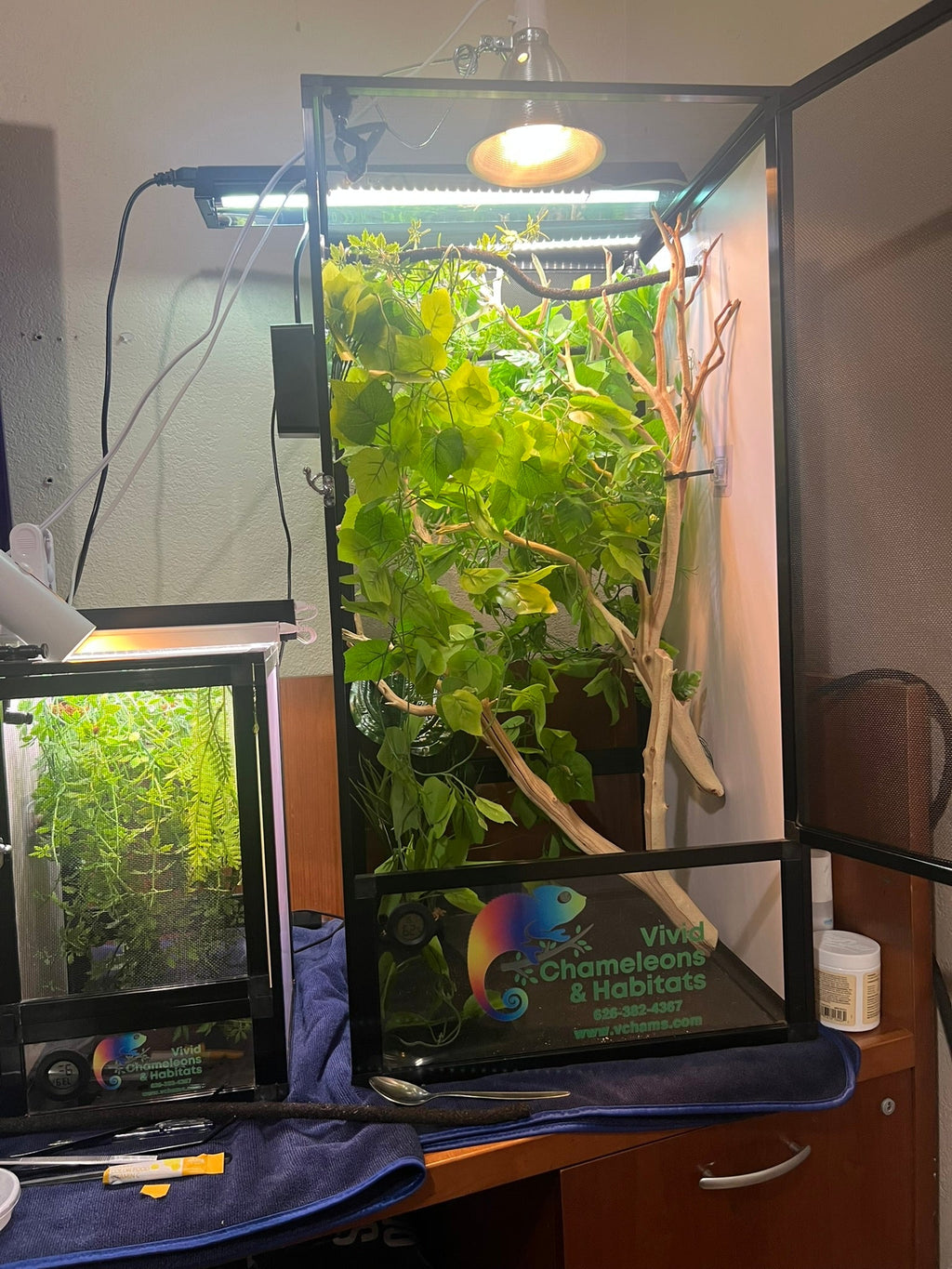 Size 16: 16"x16"x24" Deluxe All-In-One Automated Chameleon Kit