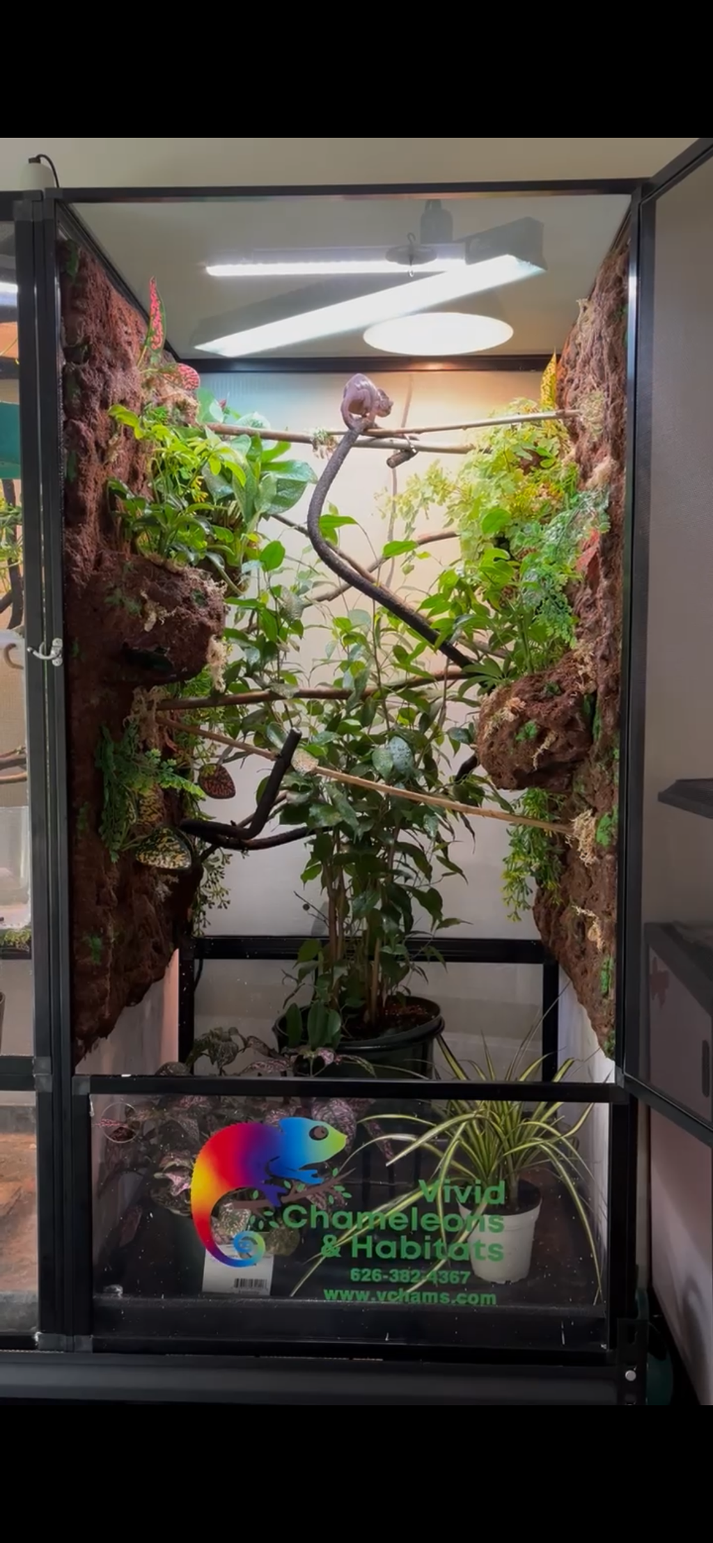 Size 16: 16"x16"x24" Deluxe All-In-One Automated Chameleon Kit